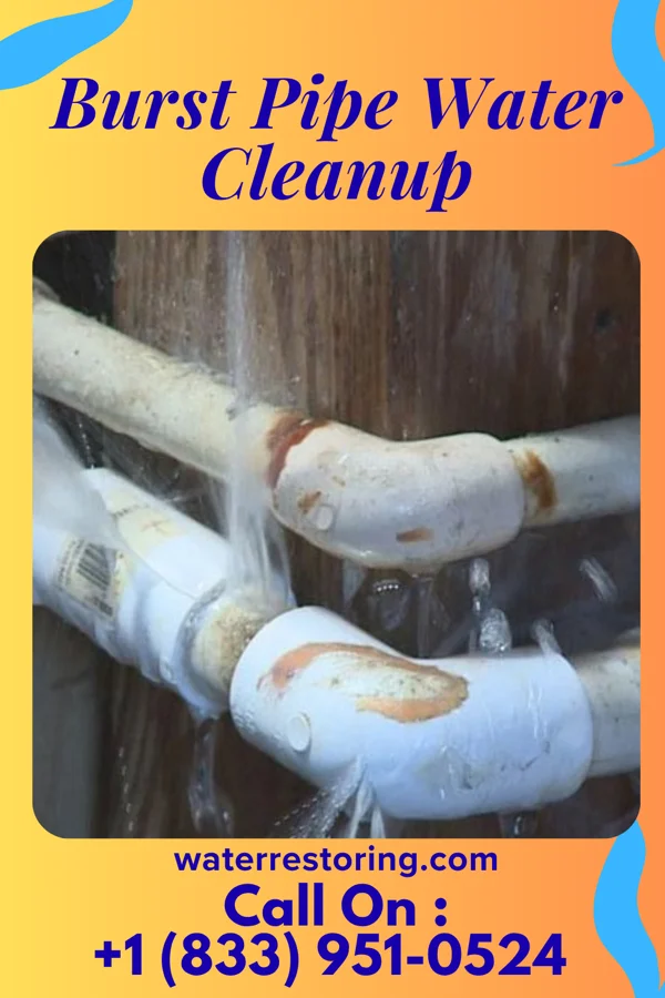 Burst Pipe Water Cleanup in McEwensville, PA