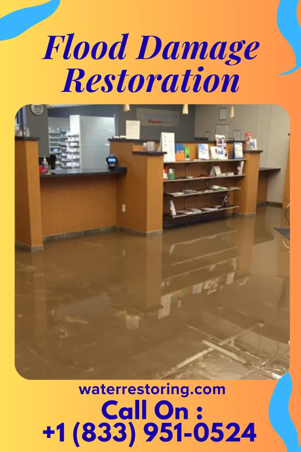 Flood Damage Restoration in McEwensville, PA