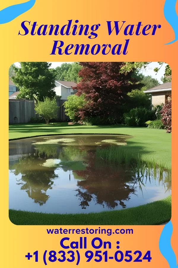 Standing Water Removal in McEwensville, PA